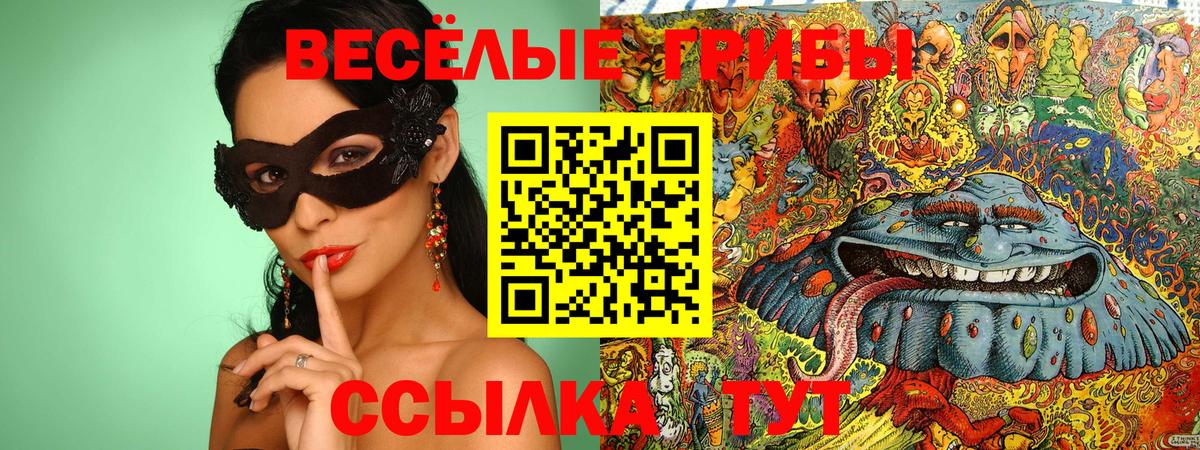 Галлюциногенные грибы Psilocybine cubensis Сибай