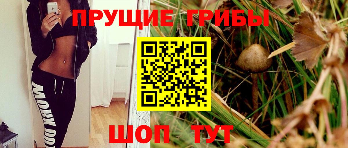 Псилоцибиновые грибы Psilocybine cubensis  Псилоцибиновые грибы MAGIC MUSHROOMS  Сибай  Вход с VPN 